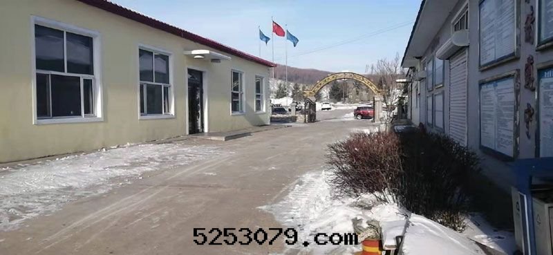 黑(hēi)龍江省(shěng)雞西普晨石(dàn)墨(mò)礦